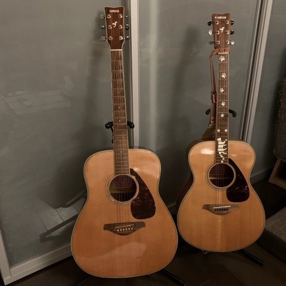 サボり気味のギター