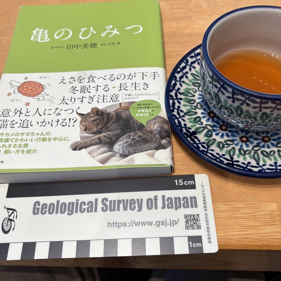 ノンフィクション読了 亀のひみつ